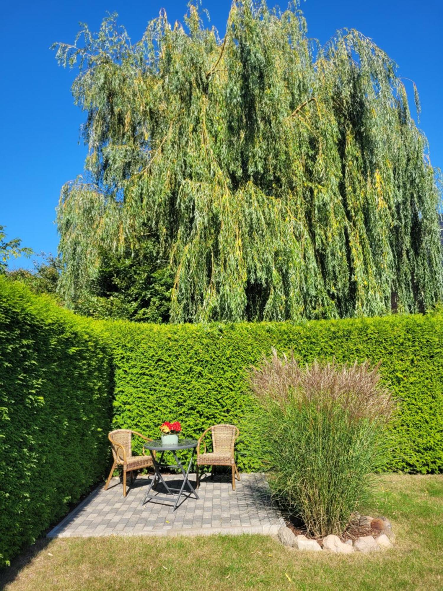 Apartmán Alt Sammit Krakow am See Exteriér fotografie